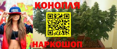 ПСИЛОЦИБИНОВЫЕ ГРИБЫ Кимры